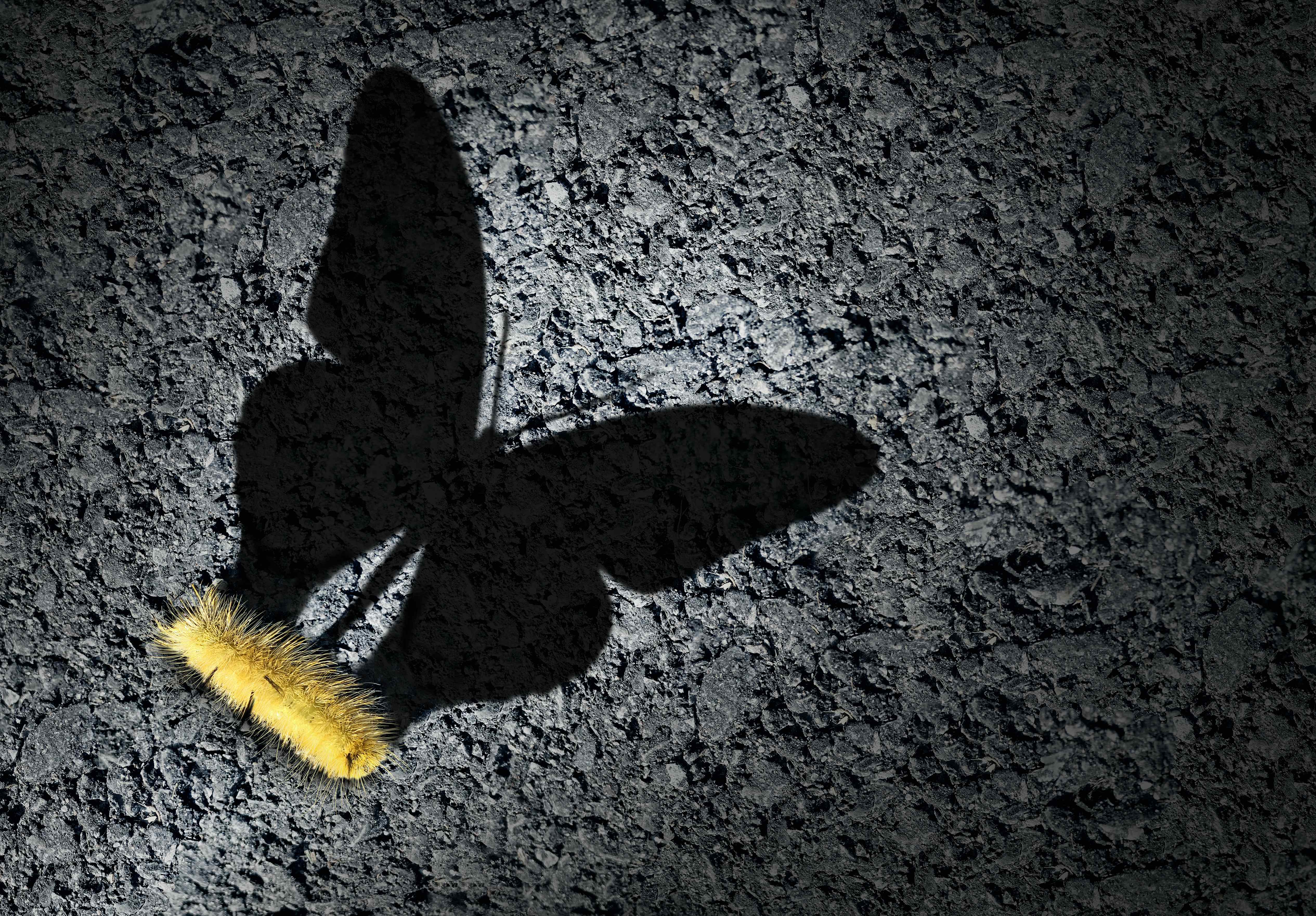 The Evolution of Law Firm Compensation: Adapting to Industry Trends